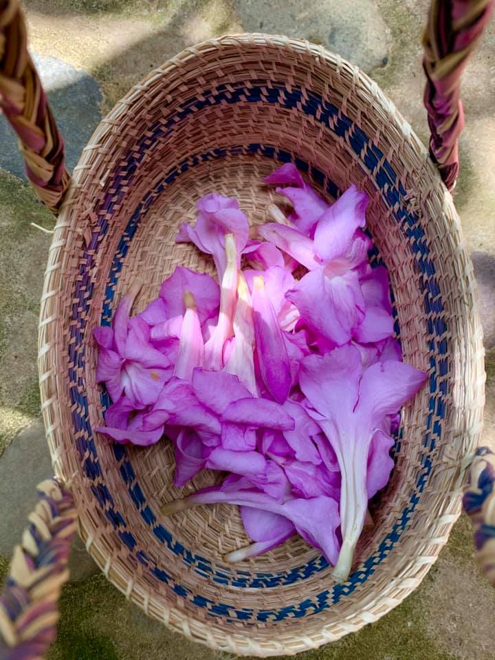 Basket of Ajo Sacha flowers by Aubrey Bambad