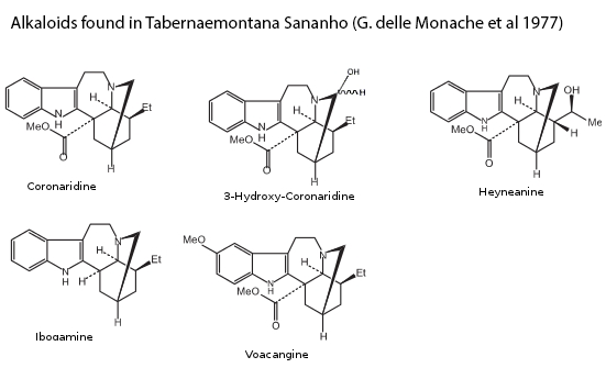 Alkaloids Found in Tabernaemontana Sananho