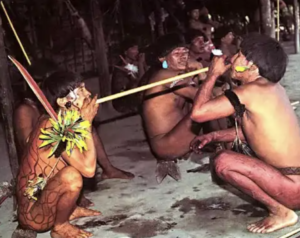 Yanomami Yopo usage in the Amazon
