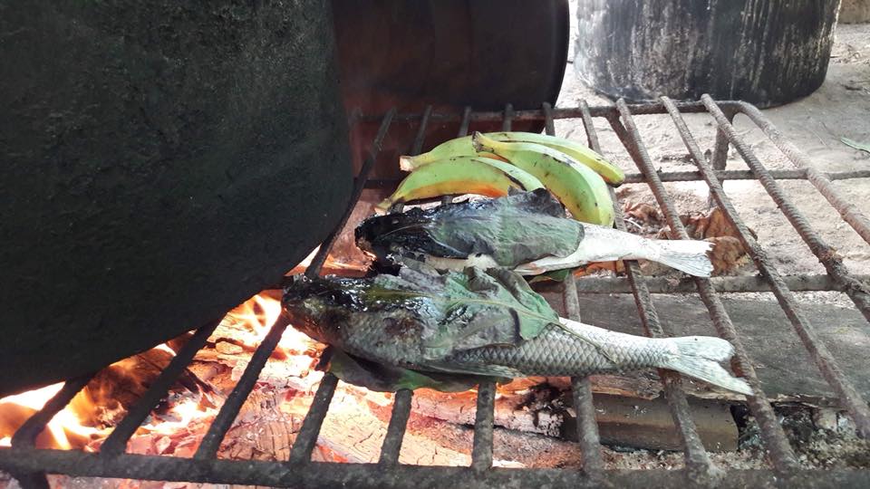 Plátano and bocachico fish, being grilled while wrapped in ajo sacha leaf (credit to Michael Sung)