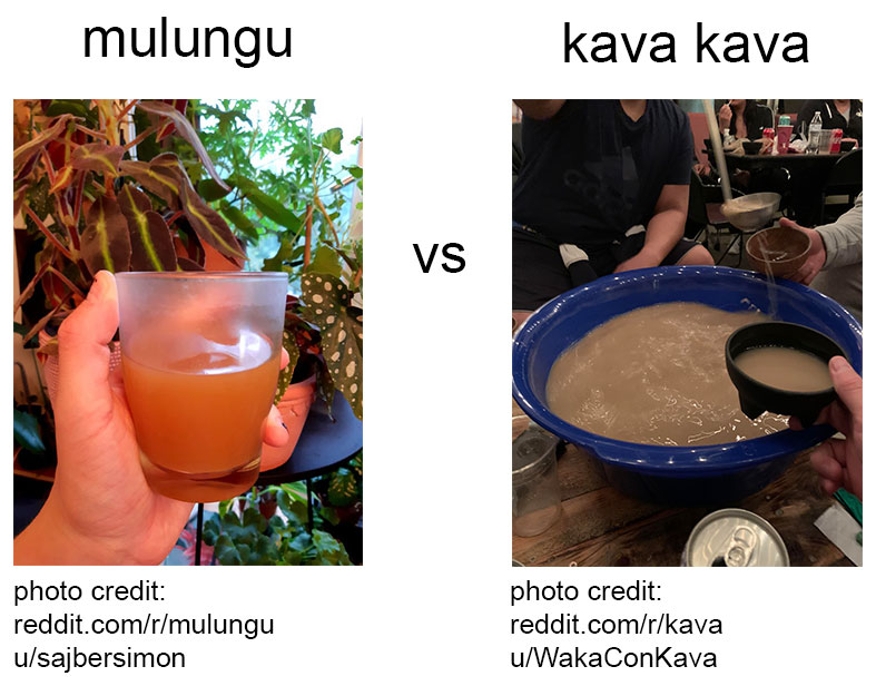 Mulungu vs Kava Kava health Benefits and Side Effects