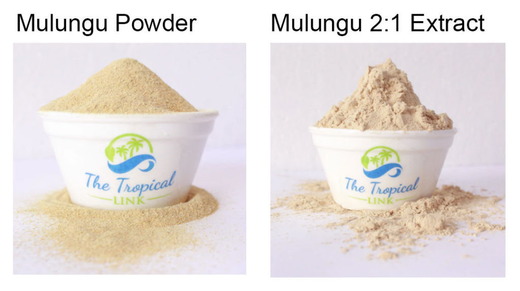 Mulungu Powder and Extract by the Tropical Link brand