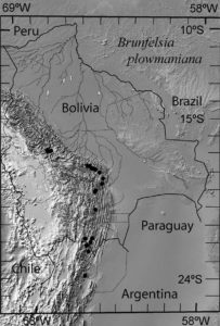 Distribution map of B. Plowmaniana - By Filipowicz, N.; Nee, M.; Renner, S. (2012). "Description and molecular diagnosis of a new species of Brunfelsia (Solanaceae) from the Bolivian and Argentinean Andes". PhytoKeys 10: 83. DOI:10.3897/phytokeys.10.2558. - Filipowicz, N.; Nee, M.; Renner, S. (2012). "Description and molecular diagnosis of a new species of Brunfelsia (Solanaceae) from the Bolivian and Argentinean Andes". PhytoKeys 10: 83. DOI:10.3897/phytokeys.10.2558., CC BY 4.0, https://commons.wikimedia.org/w/index.php?curid=18789610